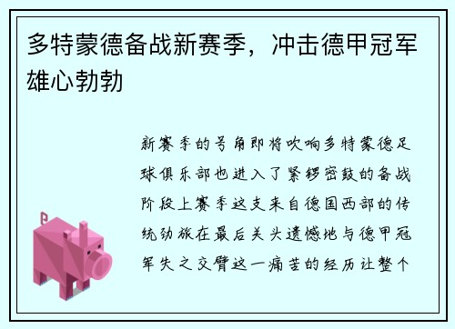 多特蒙德备战新赛季，冲击德甲冠军雄心勃勃